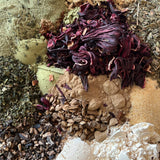 PUMPKIN & HERB | Concentrated Herbal Hair Blend