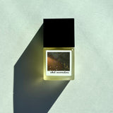 Silent Conversations (Inspired by Initio Side Effects)